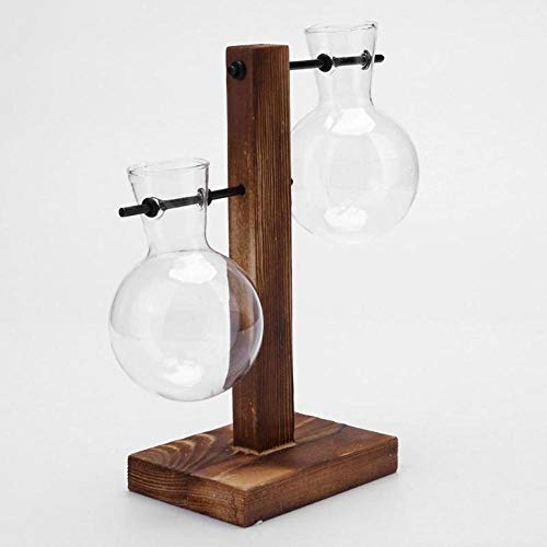 WOOAI Decoración nórdica Florero de bonsái de Vidrio de sobremesa con Bandeja de Madera Floreros de Plantas hidropónicas Florero de Vidrio Vintage, 02