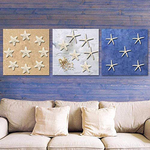 Yixuan 10PCS Estrellas de mar Estrella de mar Natural Estrella de mar Decoracion Molde Estrella mar decoración de Bodas/Fiesta temática en la Playa/Decoraciones para el hogar/Bricolaje