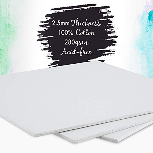 Zenacolor - Set de 28 Canvas - Laminas para Pintar Multisizes - 13x18, 20x25, 24x30, 30x40-100% Algodón sin Ácidos - Todos los tipos de Pintura sobre Lienzos