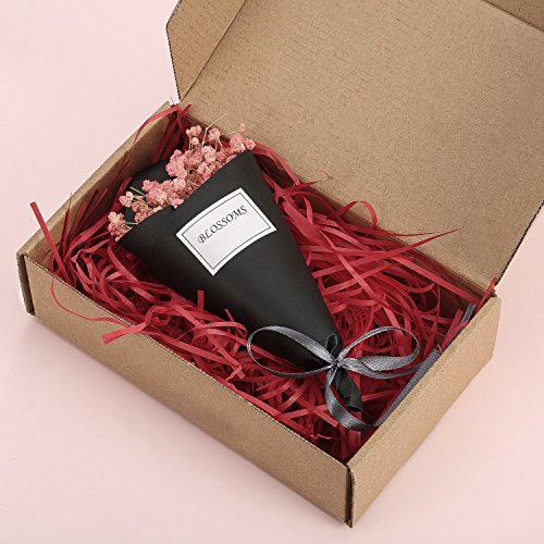 100 Gramos de Papel de Seda en Tiras Relleno de Embalaje de Regalo (Rojo)