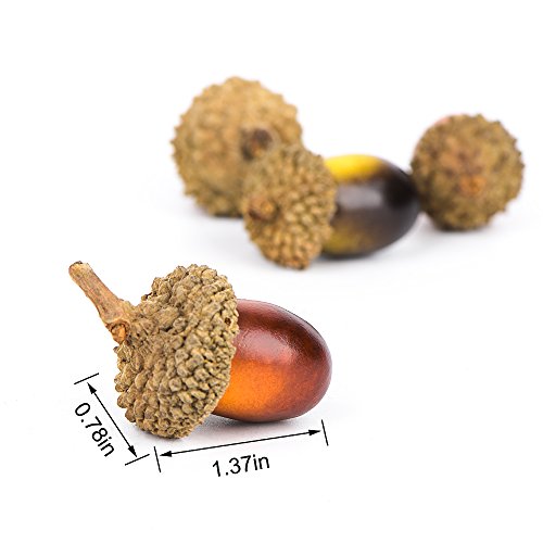 100 piezas Artificial Fake bellotas con Natural Bellota, muy realista y de aspecto Natural, 2 colores de simulación de bellota, buena decoración para manualidades, de la boda, decoración de la casa.
