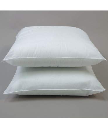 10XDIEZ Relleno cojin 2 Unidades - Relleno Suave y Esponjoso Que no se deforma - para Combinar con Cualquier Funda de cojín - Medidas cojin - 60x60cm