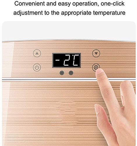 25L Mini Refrigerador, Gran Capacidad Nevera-Congelador, De Pie Bajo El Mostrador Refrigerador para El Coche/El Hogar Una Rating + Energía