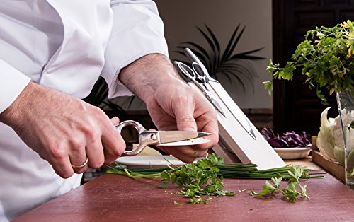3 Claveles - Set Tijeras Cocina + Cuchillo Verduras, Acero Inoxidable - (Tijera 20 cm, Cuchillo 9 cm)