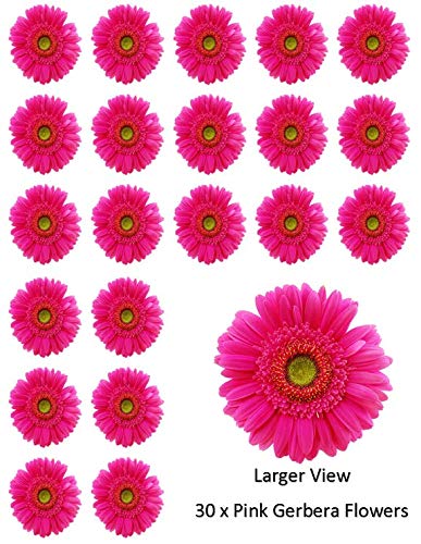 30 flores de gerbera rosa para cupcakes comestibles de papel de oblea para decoración de pasteles de cumpleaños