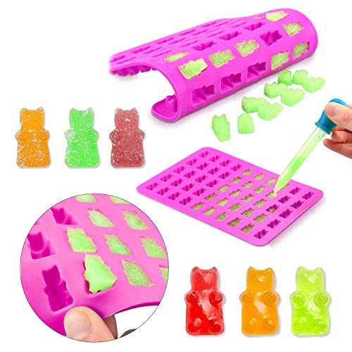 6 Pcs Molde de Silicona, Moldes para Caramelo y Osos Gominola,con 4 cuentagotas para chocolate, gelatina, dulces, cubitos de hielo, oso, fruta, dinosaurio, huella de perro y hueso