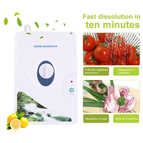 600mg / h Generador digital de ozono Máquinas de desintoxicación Frutas Verduras Carne Hidroponía de agua dulce (Temporizador de rueda - 1-60 min) Cenblue Home Purificador de agua y aire Esterilizador