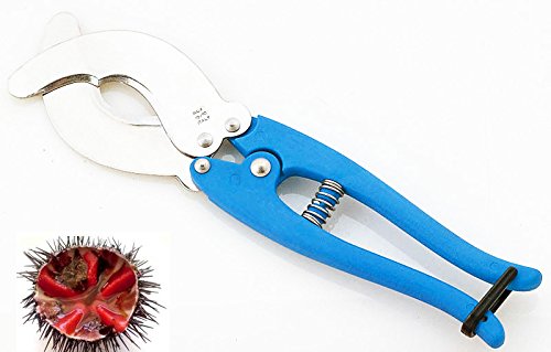Abysstar – Pinza para cortar erizos