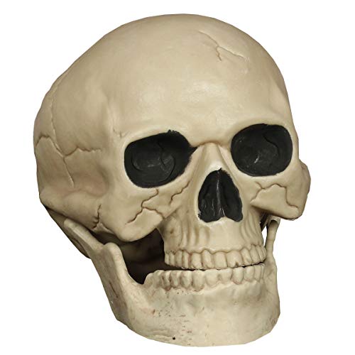 Accesorios Halloween Calavera