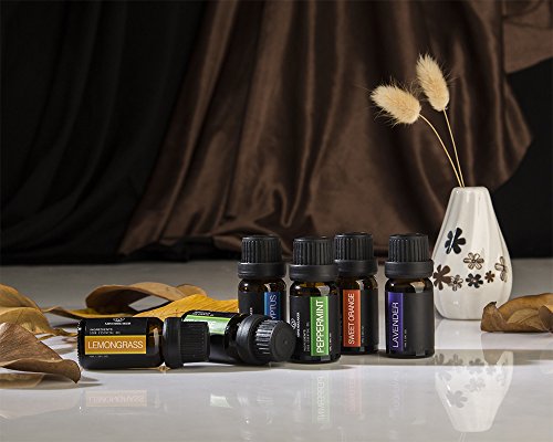 Aceites Esenciales aromaterapia Set incluye parte superior 6 Set de regalo: lavanda, Naranja Dulce, menta, árbol de té, citronela, eucalyptus-100% Pure