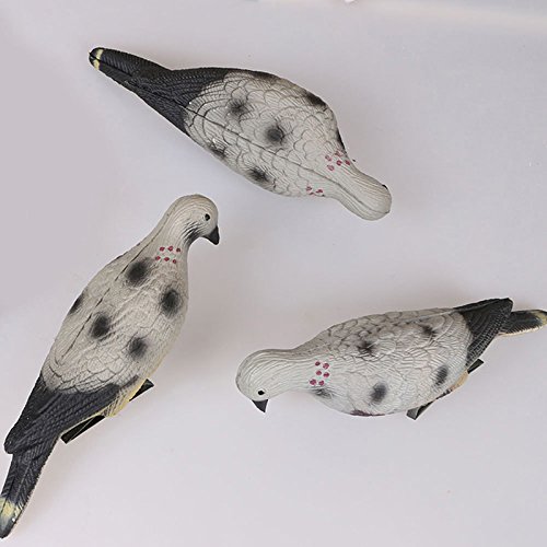 ACHICOO Arquería 3D Animal Target Outdoor Shooting Caza EVA Realista Paloma Práctica Lazo Meta al Aire Libre Productos