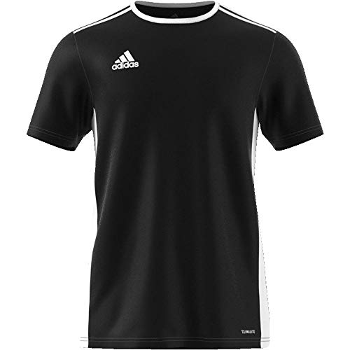 adidas Entrada 18 JSY T-Shirt, Hombre, Black/White, L