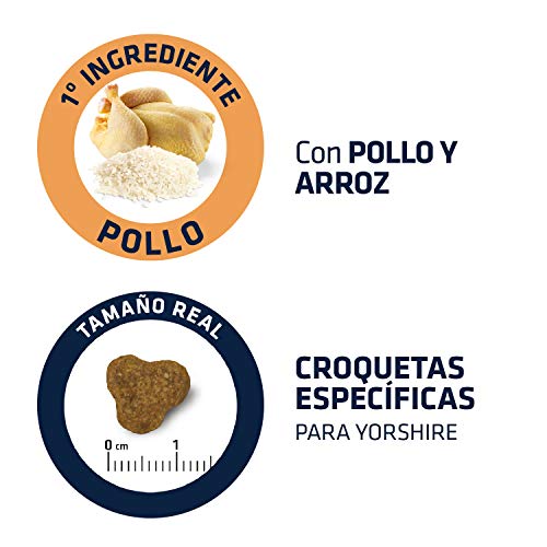 Advance Pienso para Perro Yorkshire Terrier con Pollo - 1500 gr