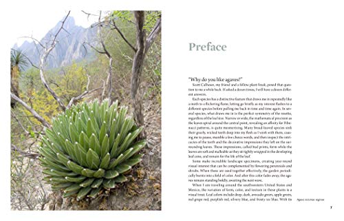 Agaves: Living Sculptures for Landscapes and Containers
