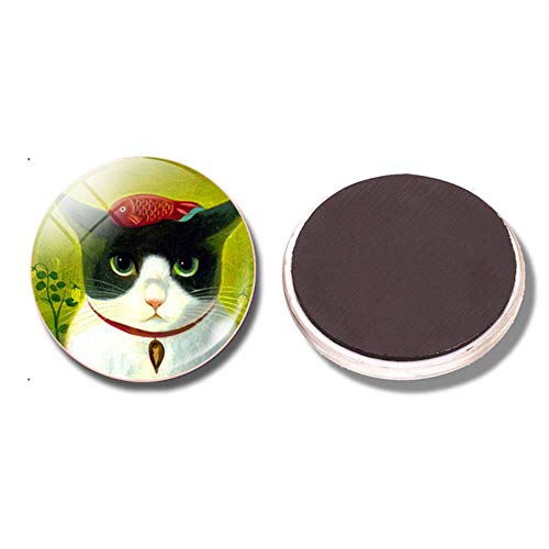 AGGIEYOU 2 unids Gato Encantador 30 MM Imán de Nevera Divertido Gato Negro Luna Cúpula de Cristal Magnética Refrigerador Pegatinas Tenedor de la Nota Decoración para el hogar, Paquete DE 1