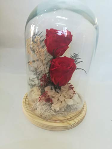 almaflor Rosas eternas Rojas. Cúpula de Cristal de y Base de Madera Prime. Cúpula de Rosas preservadas Naturales Rojas, Musgo liofilizado, Hortensia y Flores preservadas. Fabricado en España.