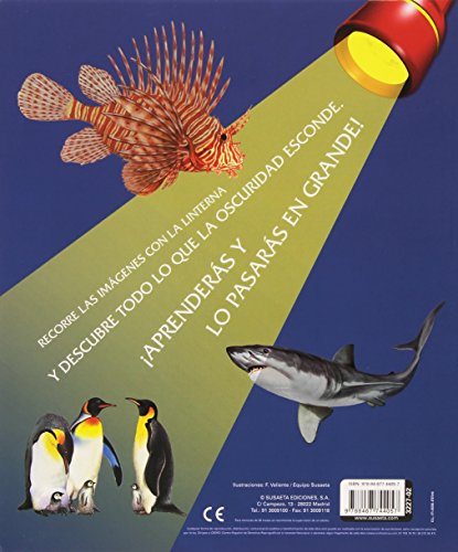 Animales Del Mar (Libro linterna)