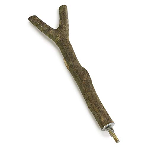 Arquivet 8435117858763 - Percha Madera Forma y 20 cm