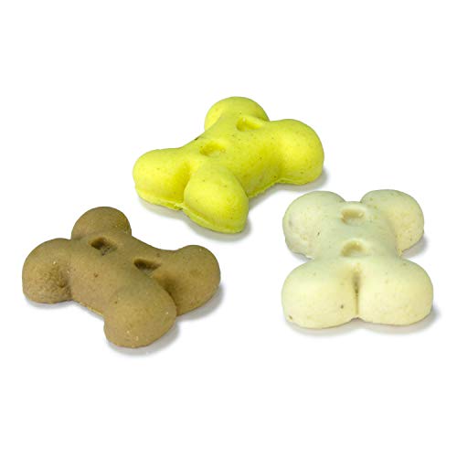 Arquivet Galletas Mini Huesos de Vainilla 7,5 kgs - 7750 gr