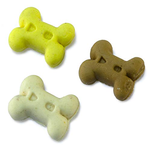Arquivet Galletas Mini Huesos de Vainilla 7,5 kgs - 7750 gr
