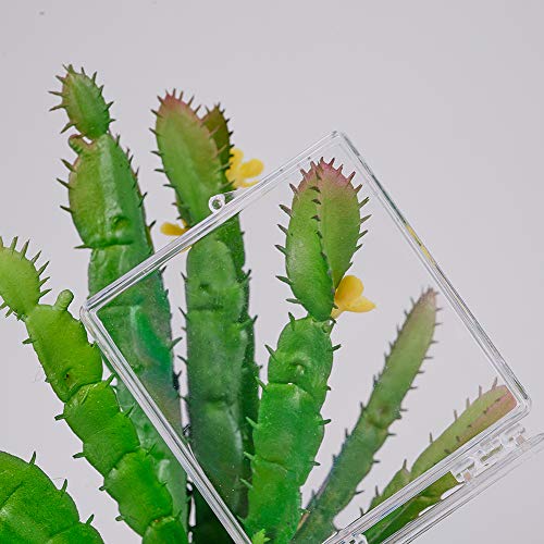 BENECREAT 8 Pack Caja Plástica de Alta Transparencia Contenedores de Plástico Cajon Organizadores para Artículos de Belleza Cuentas Pequeñas Joyería