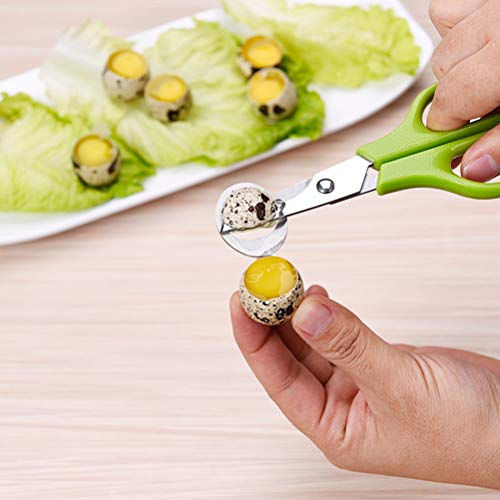 BESTONZON 2 Piezas Tijeras de Huevo de Codorniz de Acero Inoxidable
