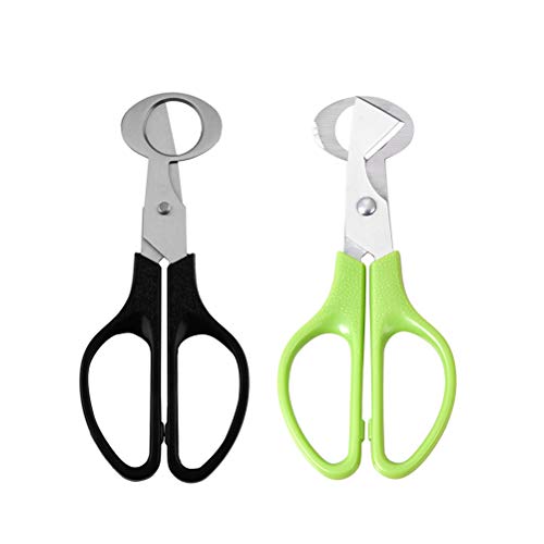 BESTONZON 2 Piezas Tijeras de Huevo de Codorniz de Acero Inoxidable