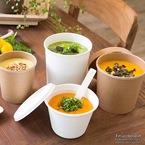 BIOZOYG Taza Bio orgánica de cartón Kraft I Taza compostable con Recubrimiento Interior de PLA Taza Sopera de Cartón To Go Taza para Helado I 25 Vasos orgánicos desechable Biodegradable 300 ml