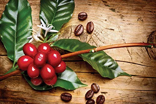 Boconó Specialty Coffee Colombia Huila Finca San Manuel 1 Kg café de especialidad en grano tostado 100% arabica caturra espresso o filtro tueste artesano bio
