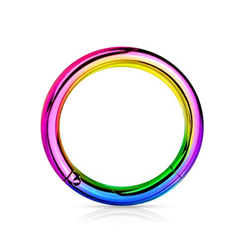 BodyJewelryonline - Piercing para Nariz con bisagras Acero, para cartílago de la Nariz de Septiembre 20G-18G-16G-14G-12G-10G, Todas Las Longitudes Disponibles