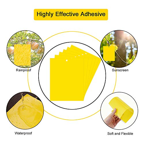 BUZIFU 30pcs Trampas para Insectos Trampas Pegajosas de Doble Cara con Bridas de 20 cm,Papeles Pegajosos Amarillos Trampas de Moscas, Ideal para Proteger de Huertos y Plantas Ornamentales(19,5X 15 cm)