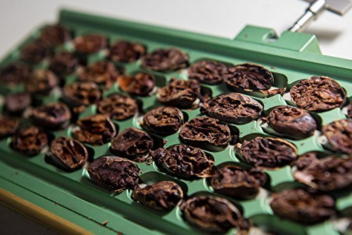 Cacao Venezuela Delta | Granos de Cacao Origen Sur Del Lago| Calidad Suprema | Saco de Yute 5KG