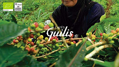 CAFES GUILIS DESDE 1928 AMANTES DEL CAFE - Café Orgánico En Grano Arábica Cultivo Bio Ecológico Natural. Tueste Artesanal 1 kg