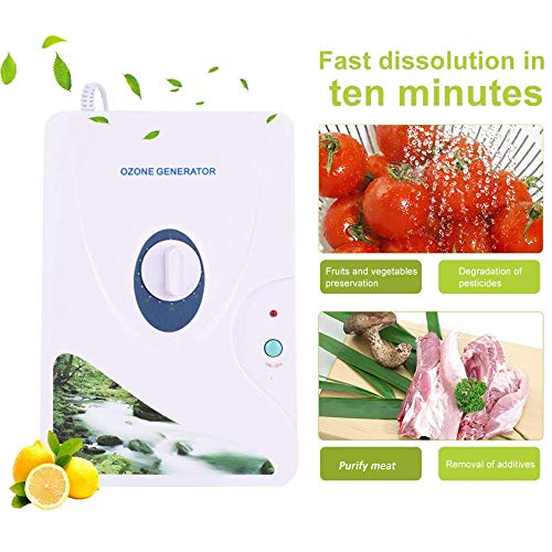 CAIYUE Purificador de Agua y Aire con ozono, generador de ozono 600mg / h Generador de ozono Ideal para Eliminar olores Purificadores de Aire con Agua ozonizada (generador de ozono 600mg / h)