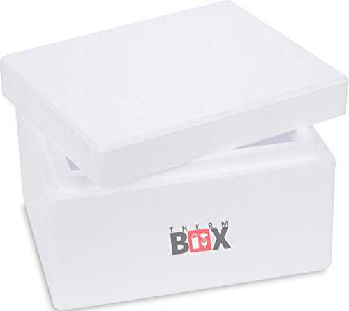 Caja térmica de poliestireno con tapa – Caja térmica para alimentos y bebidas – Nevera de poliestireno y caja térmica (31 x 25 x 18,5 cm – 5,93 l de volumen)