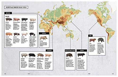 Carne: El libro definitivo (Sabores)