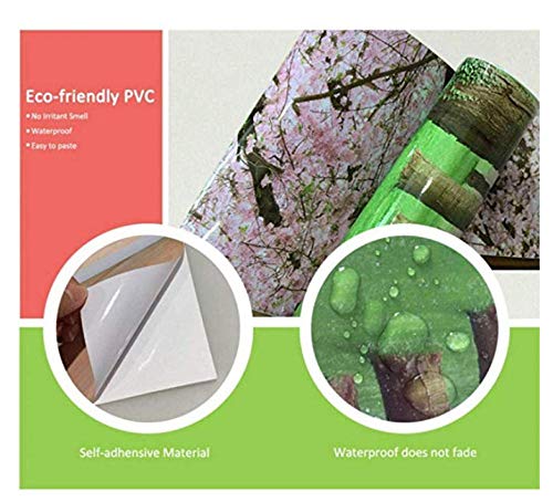 Cartel Pvc Etiqueta De Puerta Entera Coliflor Verde Autoadhesivo Para Puerta Interior Decoración Para El Hogar Cocina Sala De Baño