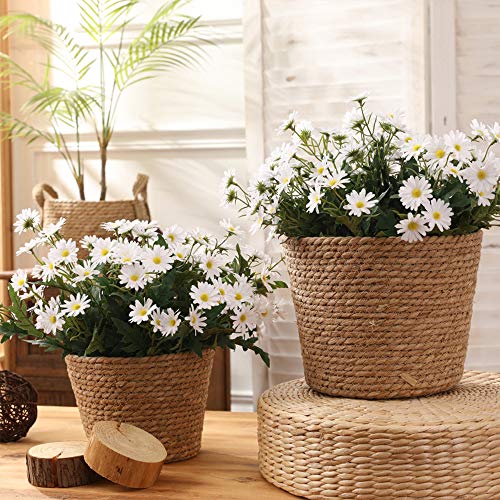 CCUCKY 2 Ramos Flores de Margarita Artificial 24 Cabezas Cada una, Simulación de Estilo Rural Plástico Colorido Flores para Mesa Ventana Balcón Decoración del Hogar (Blanco)