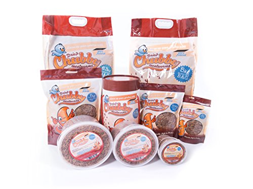 Chubby Mealworms Gusanos Secos para Comidas Gordy, 100 g