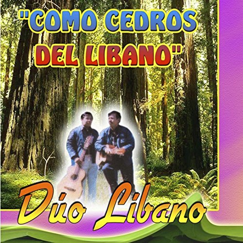 Como Cedros del Libano