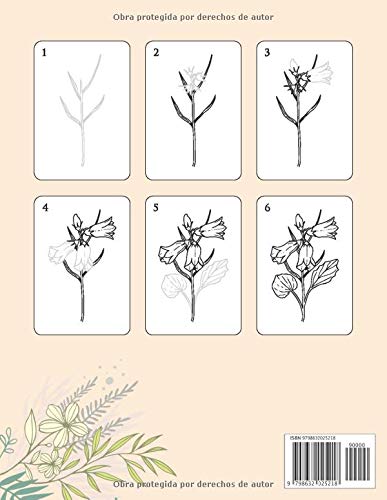 Cómo dibujar - FLORES: Paso a paso Dibuje flores, hojas, plantas y otros artículos encontrados en la naturaleza. Libro para dibujar y colorear para ... y principiantes, cubierta floral naranja