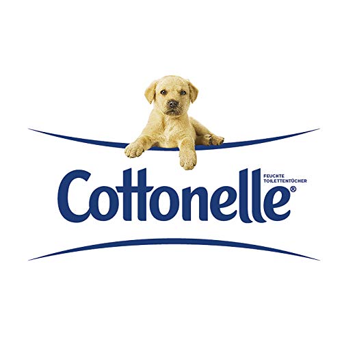 Cottonelle Mein SPA - Papel higiénico húmedo (12 x 44 unidades)