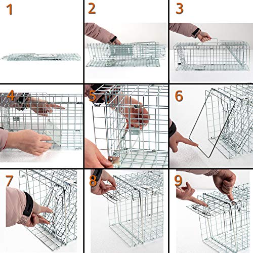 D4P Display4top Animal Trap Cage Trampa de Captura de Animales Vivos, Gatos, Perros, Conejos, roedores (61 x 18 x 21cm)
