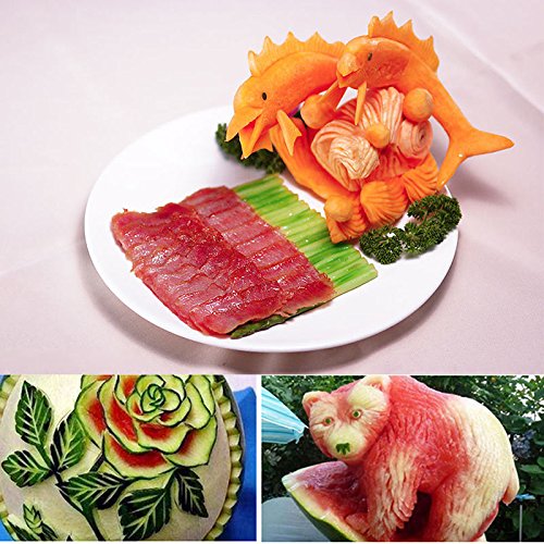 Dastrues - Juego de 46 herramientas para tallar frutas, verduras, frutas, tallado de acero inoxidable, cortador de sandía, bricolaje, varios platos fríos