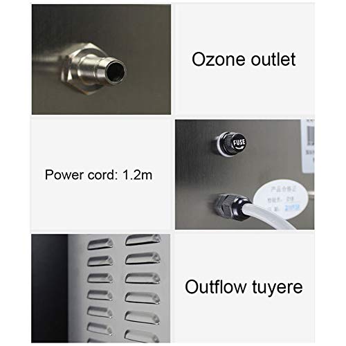 DENGS 180W 3000mg/h Ozonizador, generador de ozono Purificador de Aire, para agua, verduras, fruta, Con función de temporización/Plata / 80W