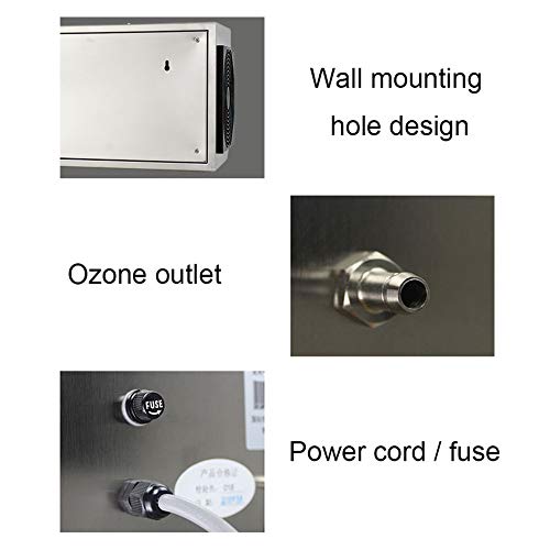 DENGS 80W Montado en la pared 3g/h Ozonizador, generador de ozono Purificador de Aire, para agua, verduras, fruta/Plata / 80W