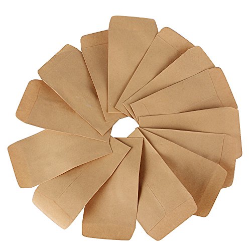 DEOMOR 100pcs(6x10cm) Bolsas Bolsitas Papel Kraft Pequeñas Estraza Marrón para Regalos Semillas Híbridas de Maíz Saco de Granja Caramelos Joyas (100pcs, 6X10cm)