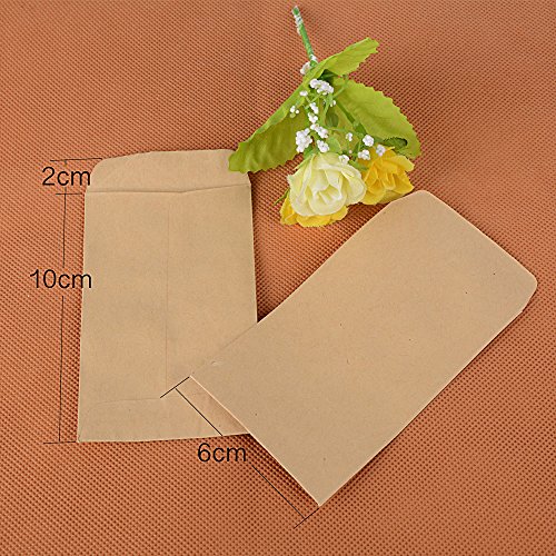 DEOMOR 100pcs(6x10cm) Bolsas Bolsitas Papel Kraft Pequeñas Estraza Marrón para Regalos Semillas Híbridas de Maíz Saco de Granja Caramelos Joyas (100pcs, 6X10cm)