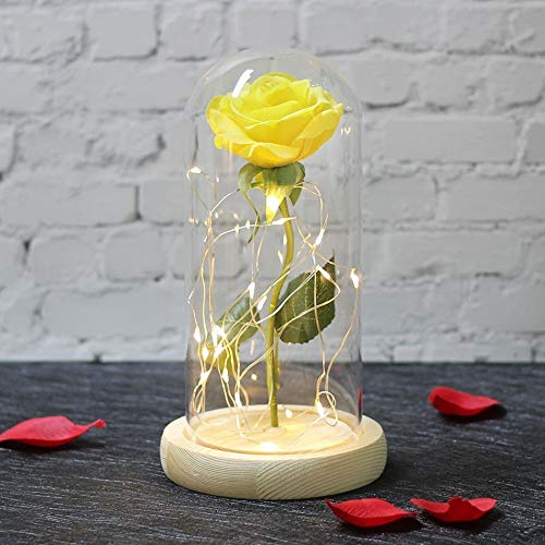 DKFS Flores Artificiales Nueva Bella Y La Bestia, Cúpula De Cristal, Rosa Roja, Fruta Confitada, Belleza, Regalo Romántico Especial Regalo De Cumpleaños Blanco Y Rosa W