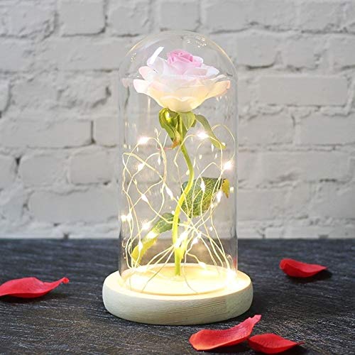 DKFS Flores Artificiales Nueva Bella Y La Bestia, Cúpula De Cristal, Rosa Roja, Fruta Confitada, Belleza, Regalo Romántico Especial Regalo De Cumpleaños Blanco Y Rosa W